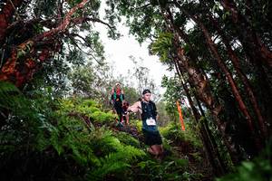 BIB: 
                            <button type="button" onclick="openModal(26202477)" class="btn btn-primary btn-sm float-right btn-popup" data-toggle="modal" data-target=".modal-high-quality">
                        <i class="fas fa-shopping-cart"></i> Add to Cart
                    </button>
                                            <button type="button" onclick="isThisMe(26202477, true)" class="btn btn-success btn-sm float-right btn-popup btn-isme hidden" data-toggle="tooltip" data-placement="bottom" title="นี่คือรูปของคุณใช่ไหม คลิกที่นี่เพื่อเอาเข้าอัลบั้ม">
                        <i class="fas fa-plus"></i> Add to album
                    </button>
                    <button type="button" onclick="isThisMe(26202477, false)" class="btn btn-warning btn-sm float-right btn-popup btn-isnotme hidden">
                        <i class="fas fa-ban"></i> Remove from album
                    </button>